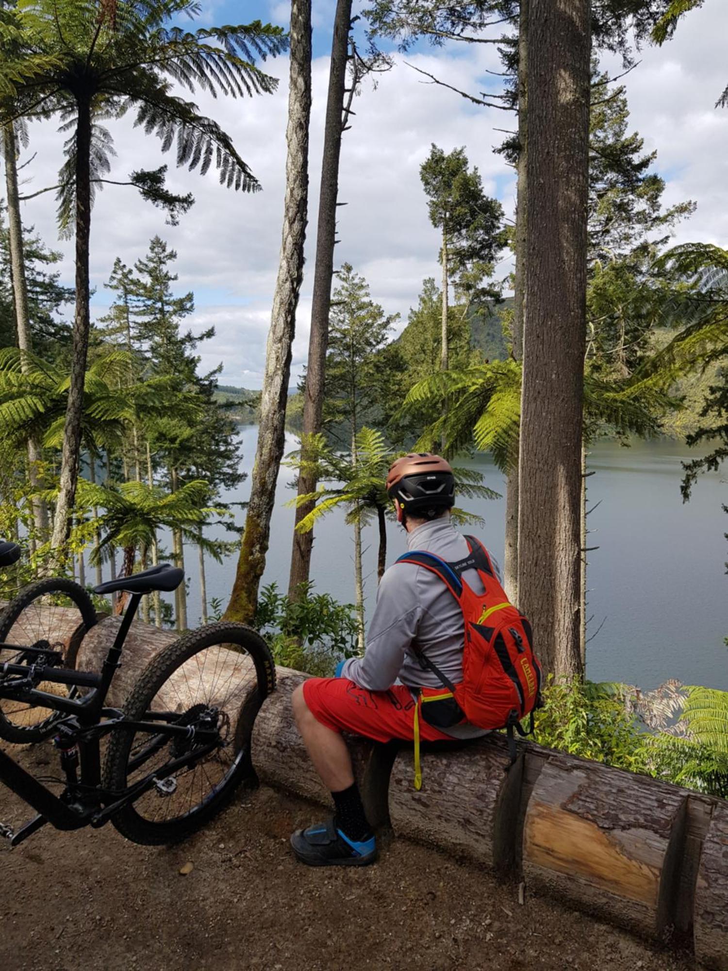 Rotorua Views B&B/Apartment エクステリア 写真