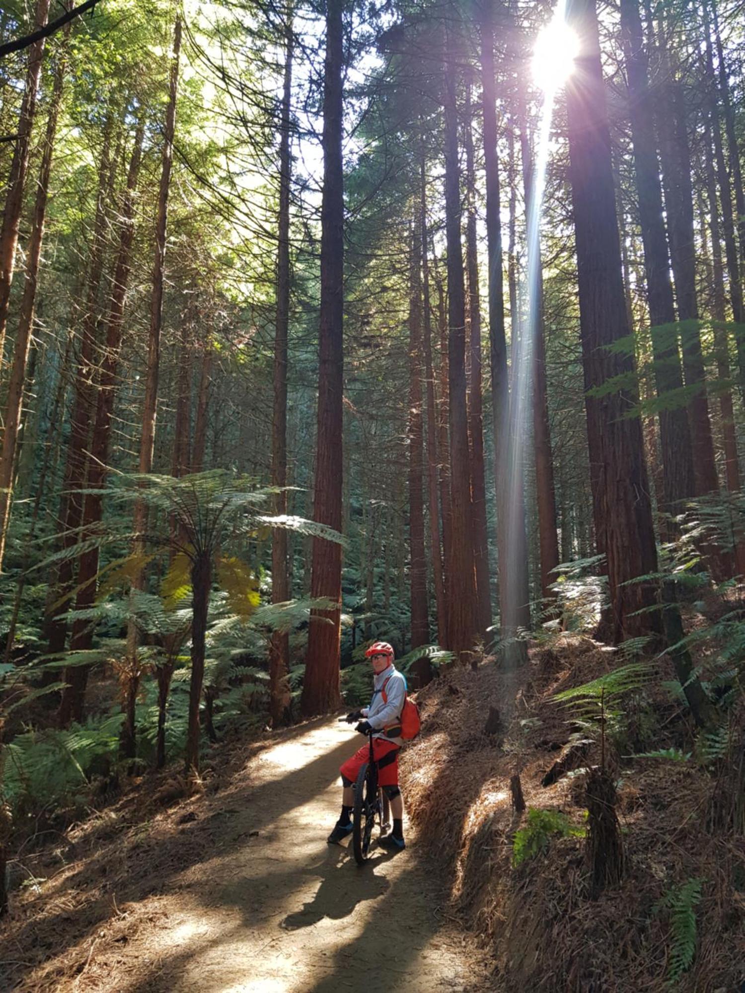 Rotorua Views B&B/Apartment エクステリア 写真